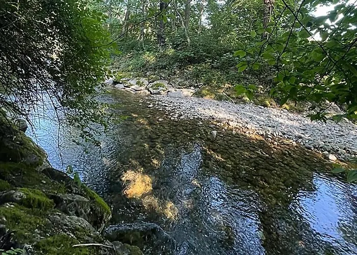 Haus Am Bach アパート